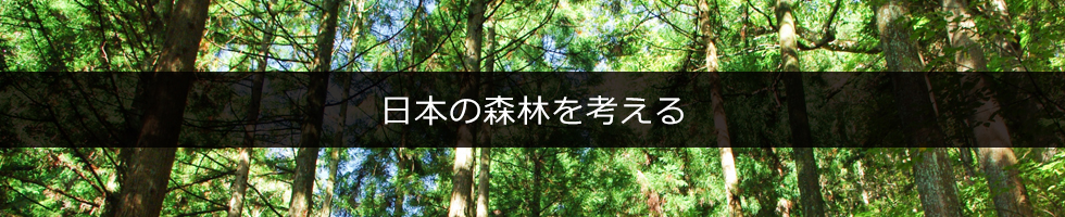 日本の森林を考える